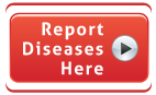 Report Diseases Here